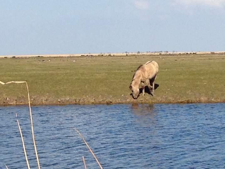 Echte verandering gaat van binnen uit. Medewerkers die eigenaarschap ervaren, kennen hun aandeel in het grote geheel.