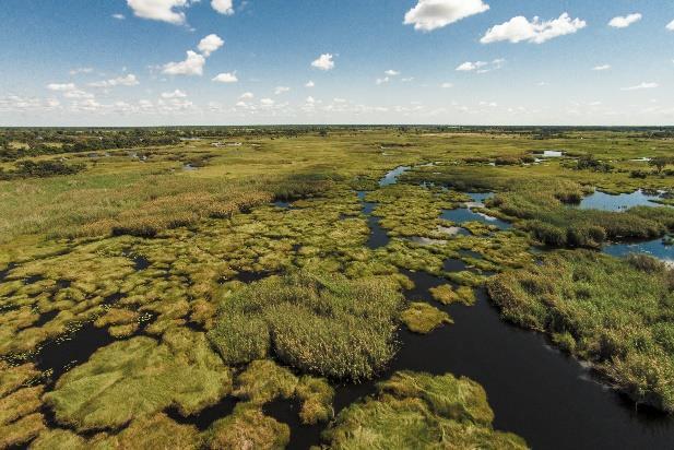 Jullie verkennen het park met onze lokale gids, tijdens een volledige dag met gamedrives in een open 4WD. Miombo Safari Lodge of gelijkwaardig.