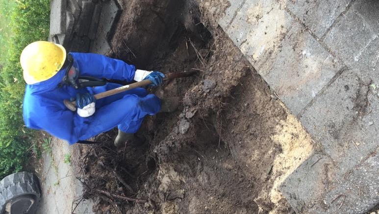 Gondalaan midden Proefsleuf onder trottoir Veel beworteling in zwarte grond Veel kabels en