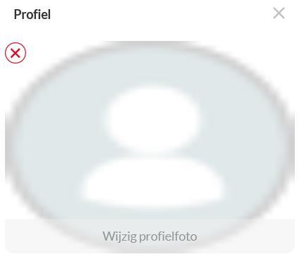 2.10 Profielfoto Nadat u een mailbox geselecteerd heeft, kunt u dit profiel desgewenst voorzien van een afbeelding. Deze profielfoto is voor al uw contacten zichtbaar.