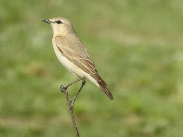 s Avonds proosten we op de weergoden. Een dag die al als opgegeven werd beschouwd, werd een van de vele hoogtepunten.