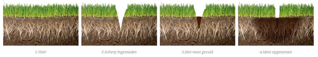 Hoe bemesten in het voorjaar?