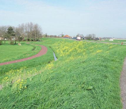 BEHOUD buitentalud KERNKWALITEITEN: Restauratie Nauernase sluis Behoud dijkpalen Behoud ligging fietspad op kade Dijkpalen Behoud natuurwaarde