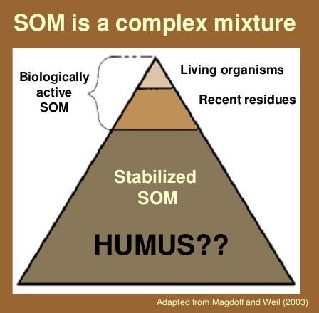 Wat is organische stof Dood organisch materiaal in de bodem Plantaardig en dierlijk Humus Traag