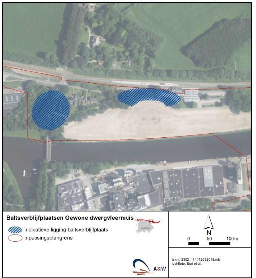Figuur 4 - Indicatieve ligging van de baltsverblijfplaatsen van de
