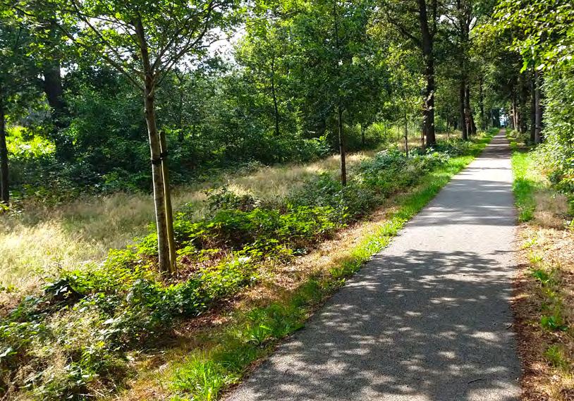 3 Suermondsweg kaart Einde fietspad overkant weg fietspad RA. Voorbij tennisbaan fietspad LA. Einde fietspad asfaltweg vervolgen. Op driesprong RD. 4 Boerenlaan kaart Na haakse bocht op driesprong LA.