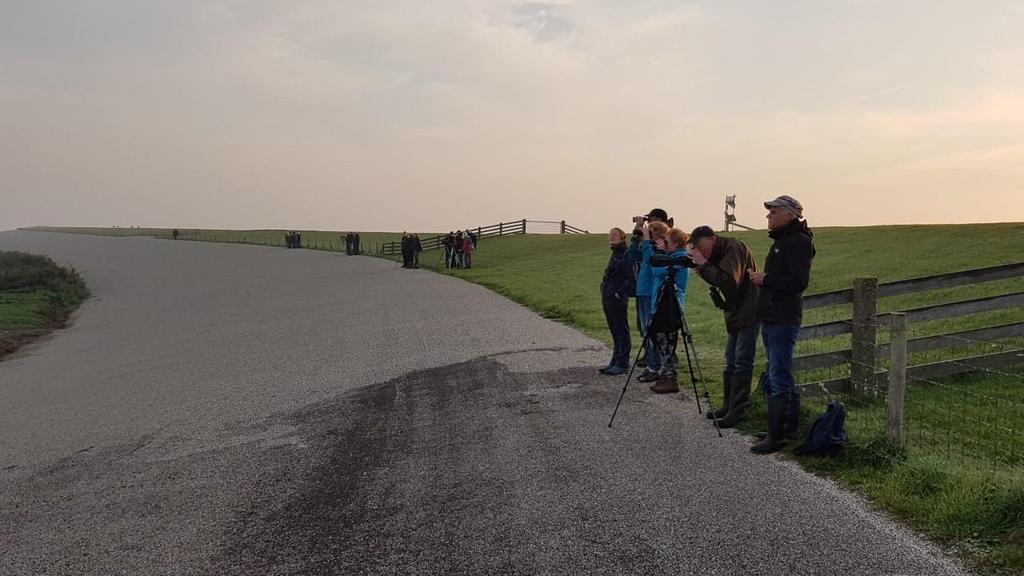 Cursisten aan het tellen bij Westhoek. Watervogelcursus 2018, opnieuw een succes! In het najaar van 2017 organiseerden Sovon en FFF al een cursus wad- en watervogels tellen.