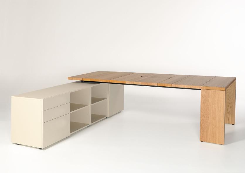 Collectie LV DESIGN LV - MARIEKE CASTELIJN De bureaus en tafels in Collectie LV (in 2006 ontworpen door Marieke Castelijn), kunt u met losse bladstroken van 20, 30, 40 en 50cm breed zélf samenstellen.
