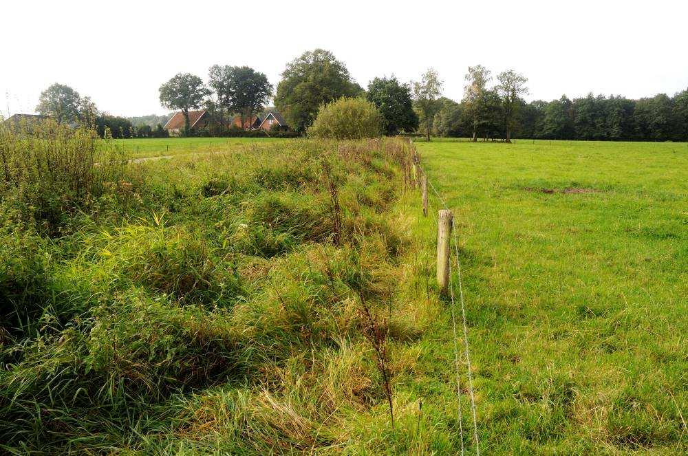 3. BRAAKBALLEN Van twee locaties was braakbalmateriaal van de kerkuil beschikbaar, ouder materiaal en daardoor veel débris.