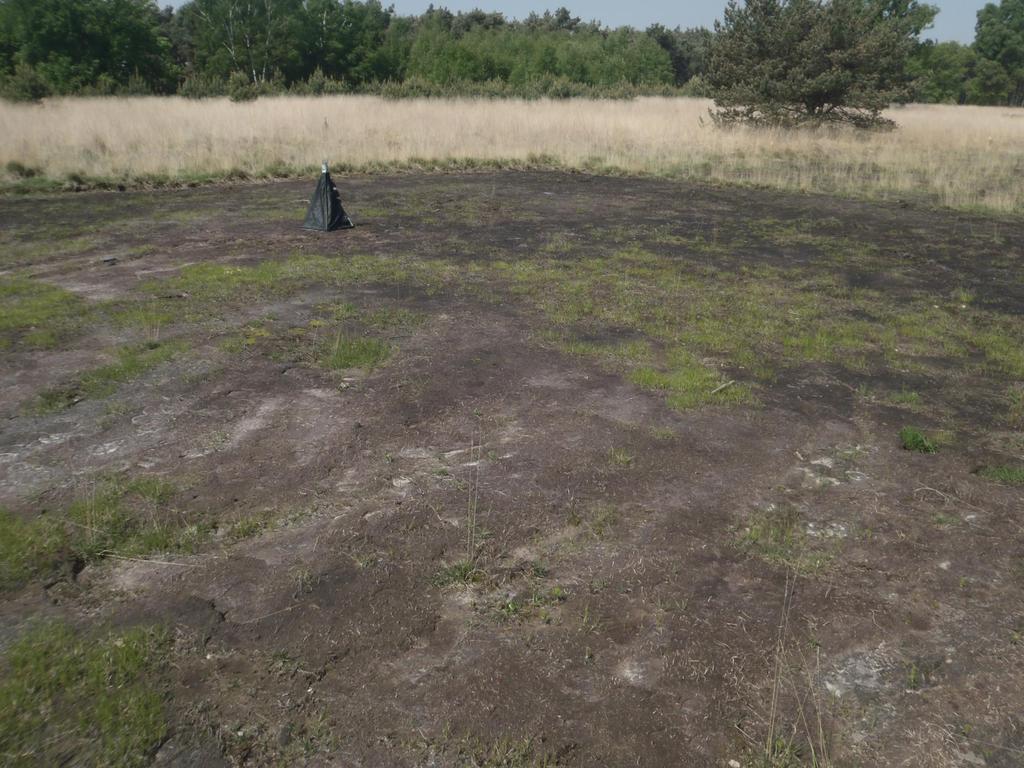 Maatregelen plaggen: verwijderen vegetatie + bovenste bodemlaag (veel organisch stof, ammonium, ook P), eerste jaar ammoniumpiek ( bekalken) chopperen: verwijderen