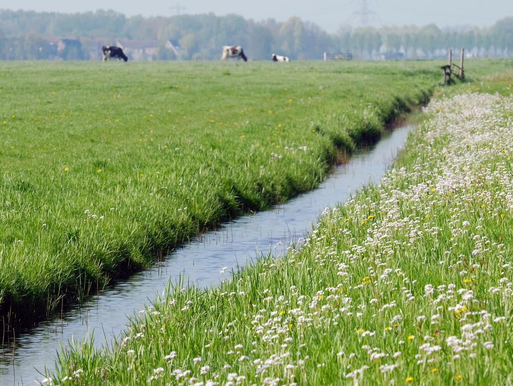 Waterschap Amstel, Gooi en Vecht