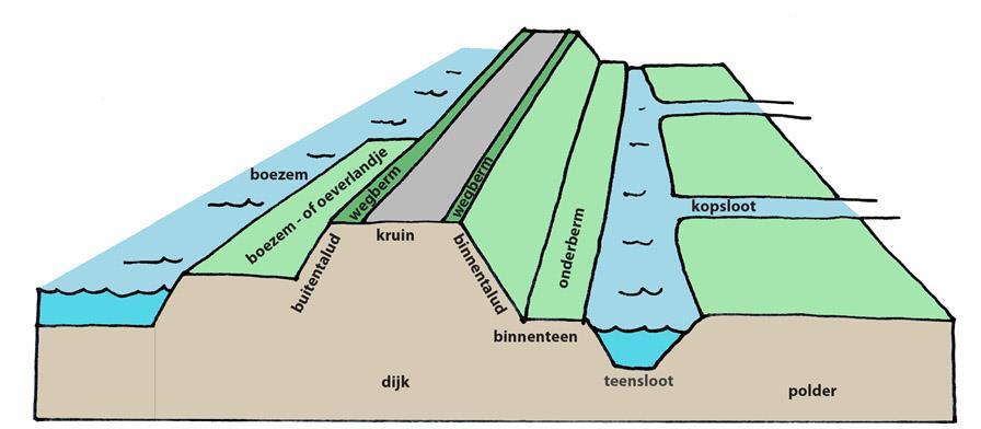 Beheer Bent u eigenaar van een stuk dijk of heeft u een deel van de dijk in beheer? Dan vindt u in hoofdstuk 6 meer informatie over de invloed van de maatregelen op het beheer en onderhoud.