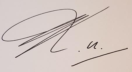 Digitally signed by Koen Van de Wiele (Signature) Date: 2019.06.