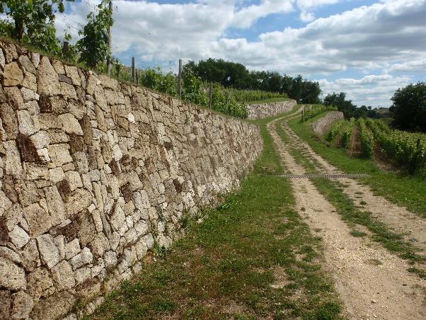 Zeer goed Saint-Emilion Château Bellefont Belcier 2015 wine-searcher score 91/100 Iets minder in balans dan vorige wijn, prachtige lengte.