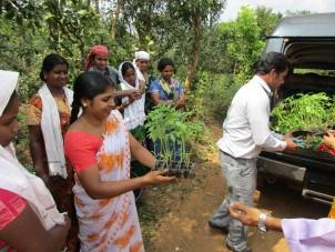 India Mananthavay - landbouwproject Met onze hulp kunnen hier zaden, planten en mest aangeschaft worden voor de verbouw van