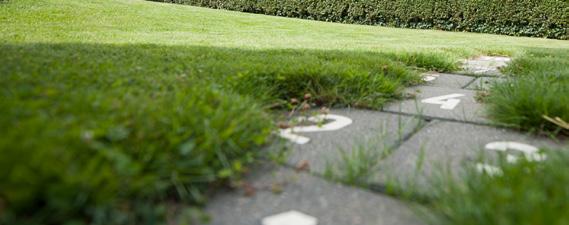 Ook de buitenruimte mag gezien worden: een pracht van een tuin waarin je je midden in de Limburgse heuvels waant.