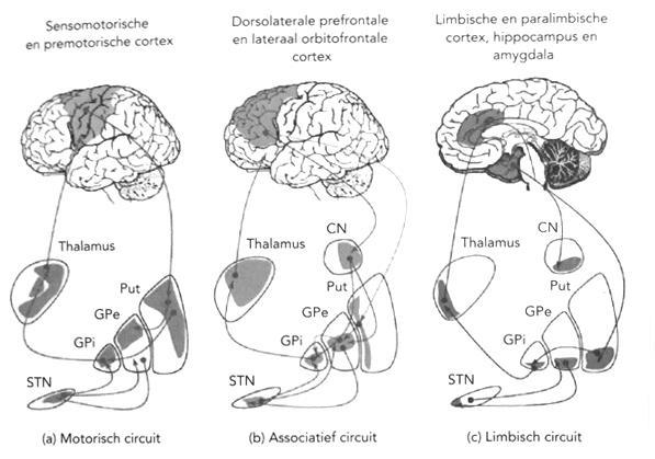 Bron: Duits en Leplow Diagnostiek