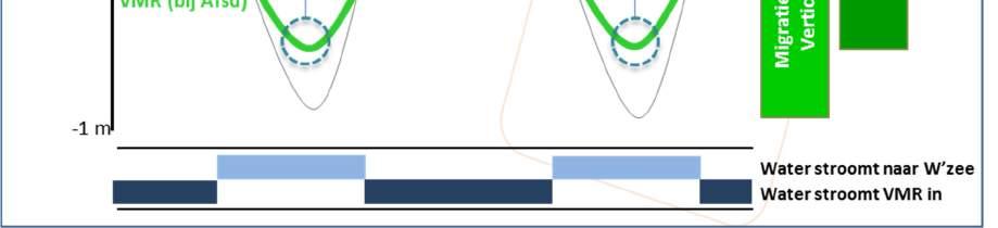 Dit zorgt voor een lokstroom in de spuikom, waardoor vissen de ingang van de VMR kunnen vinden. Bij hoog water op de Waddenzee stroomt er brak tot zout water de VMR in.