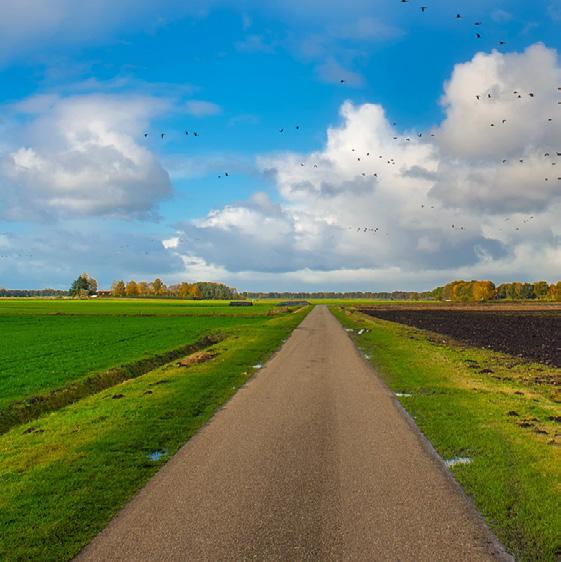 Het voorstel mag uitsluitend als Word-document ingediend worden, met een omvang van maximaal 2 A4.