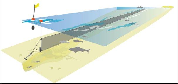 4.3 Openwatermonitoring IJsselmeer en Markermeer met kieuwnetten De doelstelling van deze monitoring is een beter beeld te krijgen van de populatie-opbouw van de visbestanden.