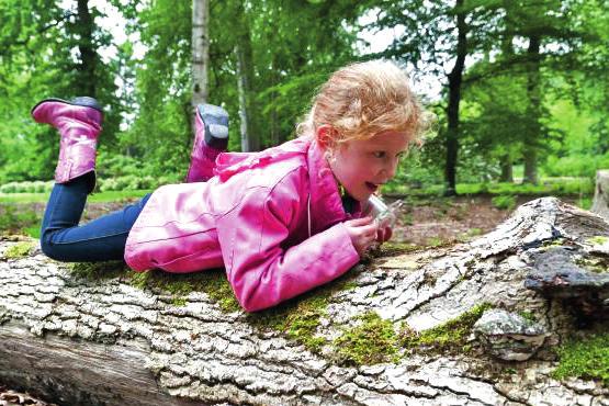 Inleiding Natuurbelevingspad voor natuur- en milieueducatie in het Broekeling Het natuurbelevingspad maakt natuur- en milieueducatie (NME) mogelijk en laat kinderen de natuur in trekken.