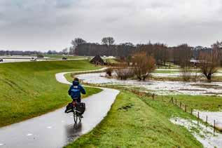 3. HEBBEN INVASIEVE RIVIERKREEFTEN EEN NEGATIEF EFFECT OP DE OMGEVING? De Amerikaanse rivierkreeften zijn al tientallen jaren in Nederlandse wateren te vinden.