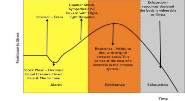 Figuur 3. General adaptation syndrome Voor het optimaliseren van het trainingsproces is het belangrijk een optimaal evenwicht te vinden tussen trainen, wedstrijden, stressmanagement en rust/herstel.