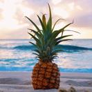 Natuurlijk kozen we niet zomaar de ananas voor op het leren label bij het originele pakket. Het eiland heeft enorme ananas plantages. En dus bij deze een extratje.