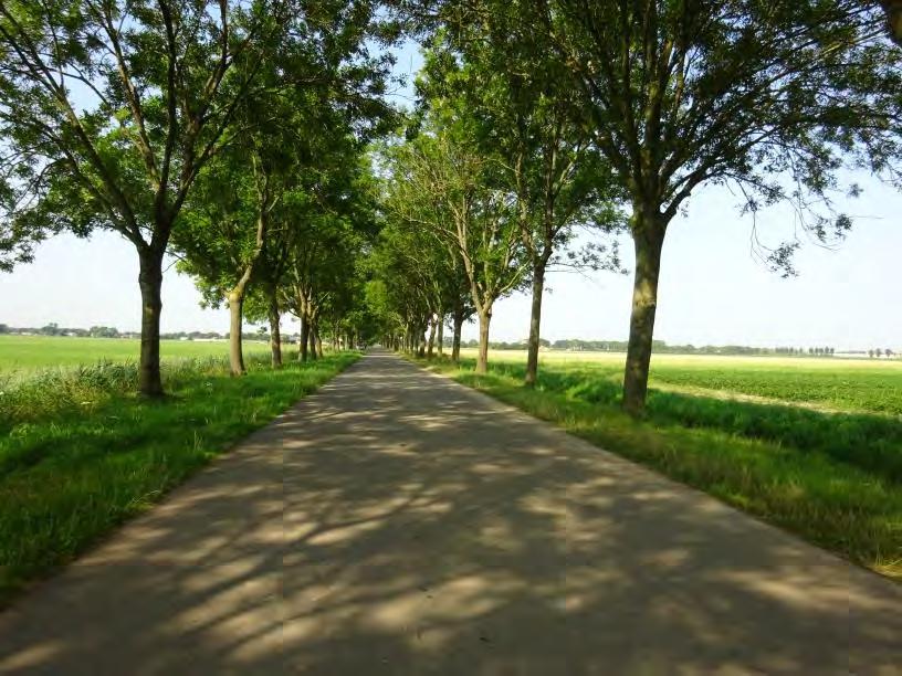 Het perceel is goed van vorm en bestaat uit goede zavelgrond, welke veelal gemakkelijk berijdbaar, beteelbaar en zeker geschikt is voor tuinbouw of akkerbouw. De afgelopen jaren zijn er o.