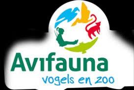 24 juli Avifauna Durf jij een papegaai uit je hand te laten eten?