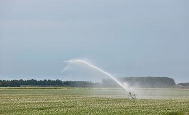 De Grevelingendam heeft de potentie zich als tweede hotspot te ontwikkelen. Ook de Slikken van Flakkee behoren tot de topgebieden.