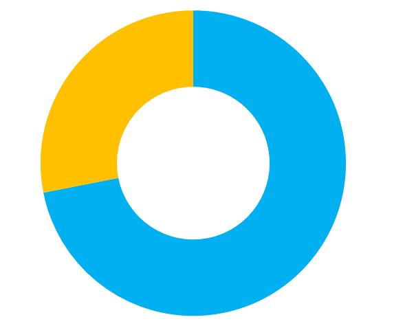 Tewerkstellingsgraad 0% 5 50% 12 Telewerk Neen 59