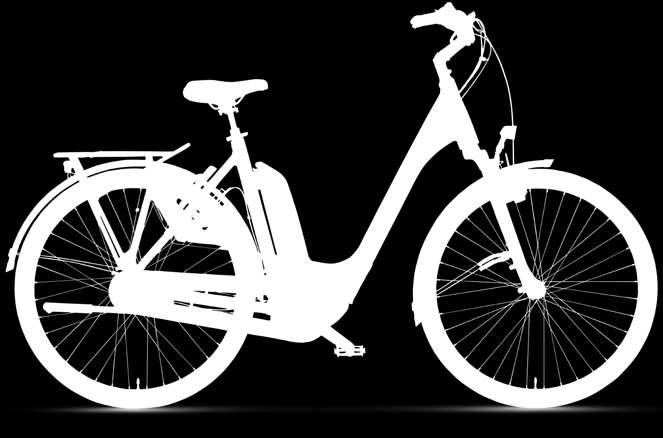 E-BIKE