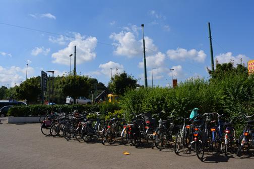 Door het weinige aanwezige groen en het hoge inwoneraantal, beschikt een bewoner van deze wijk