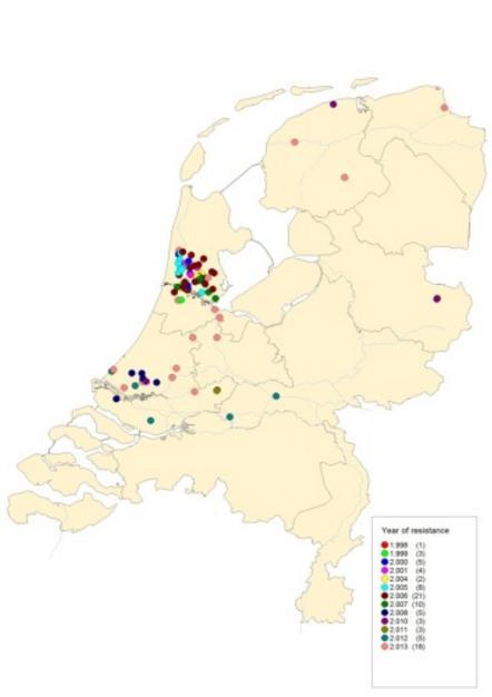 volwassen koeien kan de tussenkalftijd toenemen met 5 (Armstrong, 2014), 13 (Schweizer et al.