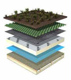 PLAT DAK OPLOSSINGEN / Voor verwarmde ruimtes pdh SYSTEEM Sedum Dakbedekking Worteldoek Dakbedekking Utherm Roof L isolatieplaat Dampremmende laag DS D