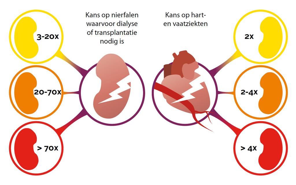 Risico s welke onafhankelijk geassocieerd zijn met Chronische NierSchade Risk for ESKD and need for dialysis or transplantation Risk