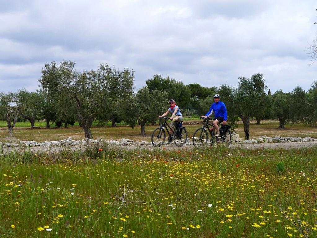 We fietsen naar Manduria dwars door de beroemde wijnstreek naar de Ionische kust.