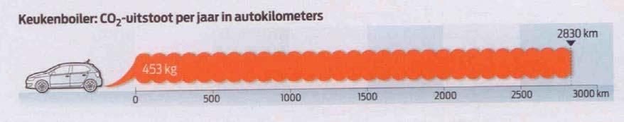 bomen één jaar