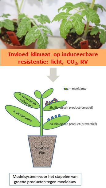 Lopende projecten