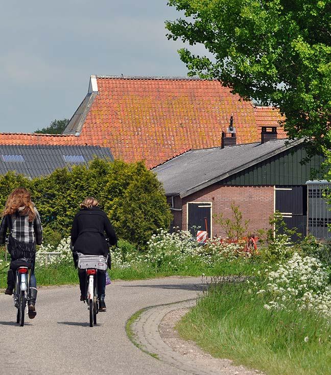 dierenarts-onderzoeker