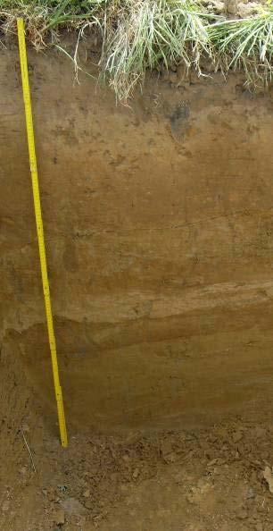 De twee bovenstaande profielen zijn kenmerkend voor Lcp series. Het zijn zwak gleyige gronden op zandleem, d.w.z. goed gedraineerde gronden, die uit meer dan 40 cm colluviaal of alluviaal leem of zandleem zijn opgebouwd (in deze gevallen colluviaal zandleem).