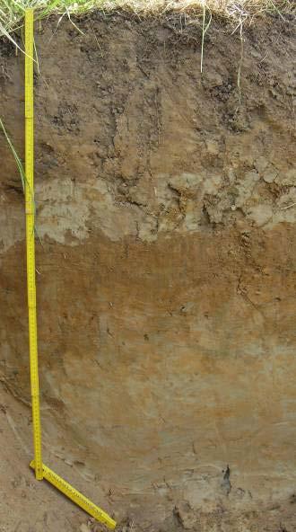 Fig. 9: Profiel 4: Stratigrafisch complex profiel met sporen van bewerking. Profiel 5 bestaat uit schuin lopende klei-zand lagen rustend op lemig zand.