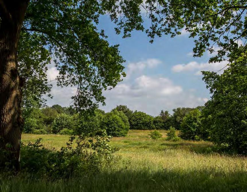 8 Volg het zandpad naar rechts (in deze bocht is links een mooi kijkje op de Lage maden). 9 Dit zandpad loopt langs het beekdal de Smalbroeken met het Smalbroekenloopje aan uw linkerhand.