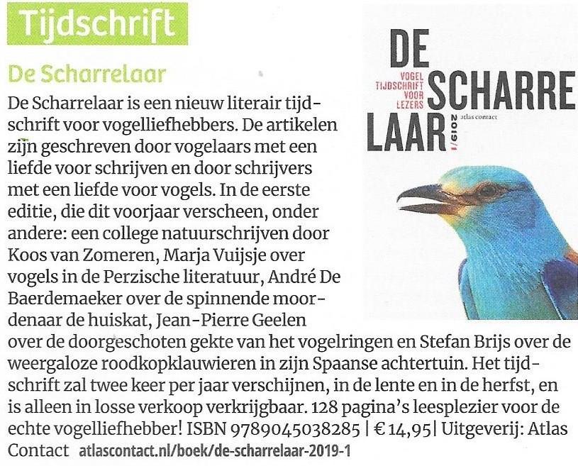 In het algemeen blijkt dat vogels ouder worden dan zoogdieren. Ze worden vaak 80 jaar; veel ouder dan een hond of een kat. Maar, waarom?