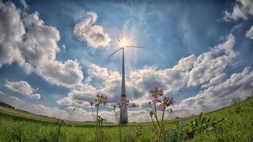 Een mooi voorbeeld is de gemeente Horst aan de Maas, die een stimuleringsregeling krijgt voor zonnepanelen op bedrijfsdaken.