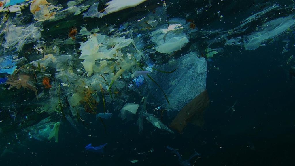 PLASTIC IN OCEANEN Jaarlijks komt 9 miljoen ton plastic in onze oceanen terecht.