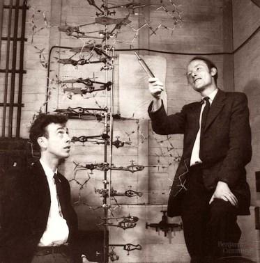 structuur DNA 1975 moleculaire