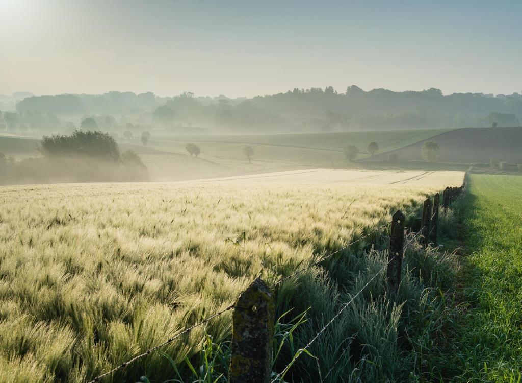 Actuele Europese energiedossiers onder het Finse voorzitterschap 12 september 2019 Vleva en