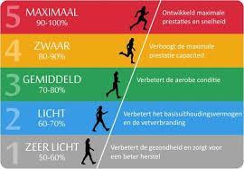 De hartslag vertalen naar trainingszones Veel onervaren lopers, of beginnende hardlopers zullen veel problemen hebben om hun hartslag laag te houden.